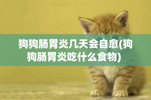狗狗腸胃炎幾天會自愈(狗狗腸胃炎吃什么食物) 