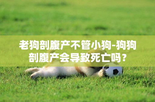 老狗剖腹產不管小狗-狗狗剖腹產會導致死亡嗎？