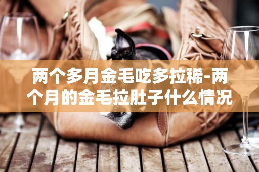 兩個多月金毛吃多拉稀-兩個月的金毛拉肚子什么情況