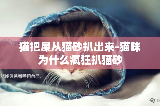 貓把屎從貓砂扒出來-貓咪為什么瘋狂扒貓砂