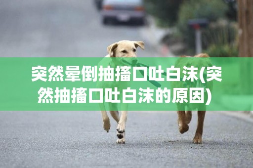 突然暈倒抽搐口吐白沫(突然抽搐口吐白沫的原因) 