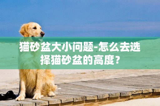 貓砂盆大小問題-怎么去選擇貓砂盆的高度？