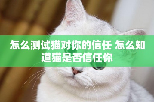 怎么測試貓對你的信任 怎么知道貓是否信任你