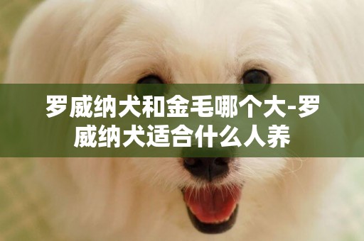 羅威納犬和金毛哪個大-羅威納犬適合什么人養