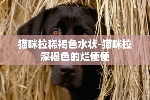 貓咪拉稀褐色水狀-貓咪拉深褐色的爛便便