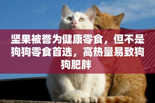 堅果被譽為健康零食，但不是狗狗零食首選，高熱量易致狗狗肥胖 