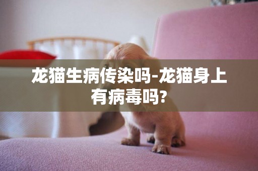 龍貓生病傳染嗎-龍貓身上有病毒嗎?