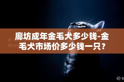 廊坊成年金毛犬多少錢-金毛犬市場價多少錢一只？
