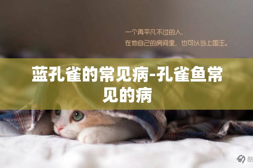 藍孔雀的常見病-孔雀魚常見的病