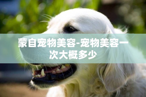 蒙自寵物美容-寵物美容一次大概多少
