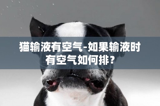 貓輸液有空氣-如果輸液時有空氣如何排？