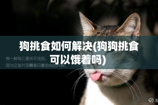 狗挑食如何解決(狗狗挑食可以餓著嗎) 