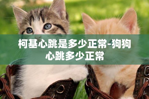 柯基心跳是多少正常-狗狗心跳多少正常