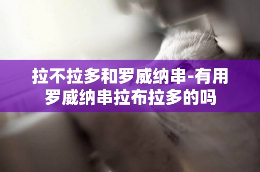 拉不拉多和羅威納串-有用羅威納串拉布拉多的嗎