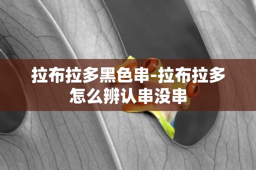 拉布拉多黑色串-拉布拉多怎么辨認串沒串