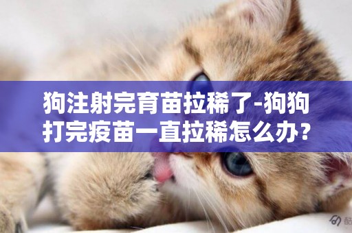 狗注射完育苗拉稀了-狗狗打完疫苗一直拉稀怎么辦？