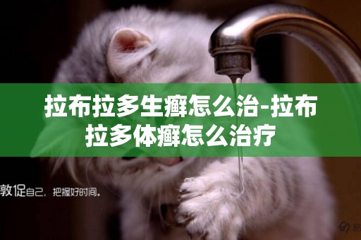 拉布拉多生癬怎么治-拉布拉多體癬怎么治療