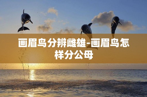 畫眉鳥分辨雌雄-畫眉鳥怎樣分公母