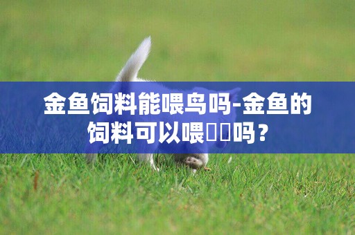 金魚飼料能喂鳥嗎-金魚的飼料可以喂鳑鲏嗎？