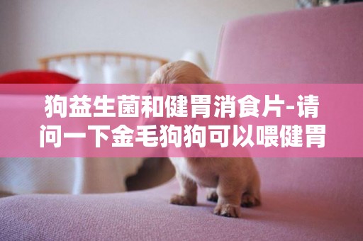 狗益生菌和健胃消食片-請問一下金毛狗狗可以喂健胃消食片嗎？