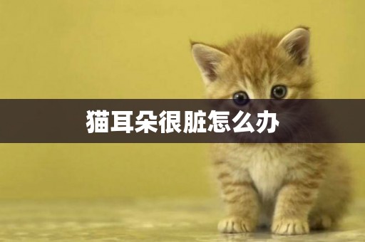 貓耳朵很臟怎么辦