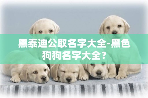 黑泰迪公取名字大全-黑色狗狗名字大全？