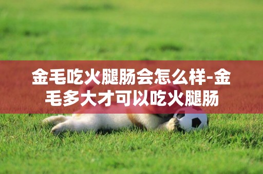 金毛吃火腿腸會怎么樣-金毛多大才可以吃火腿腸