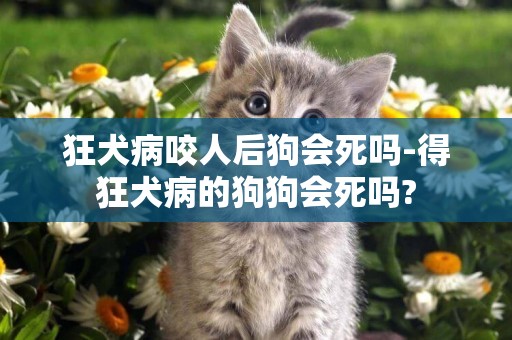 狂犬病咬人后狗會死嗎-得狂犬病的狗狗會死嗎?