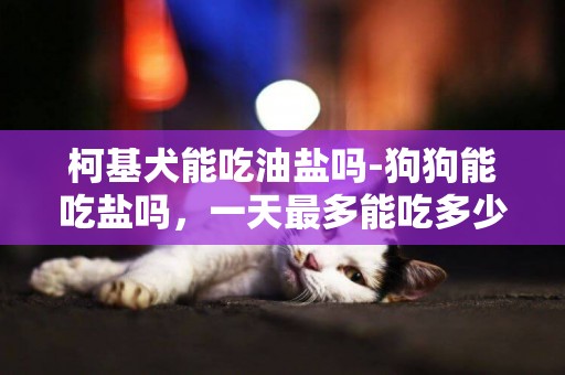 柯基犬能吃油鹽嗎-狗狗能吃鹽嗎，一天最多能吃多少鹽