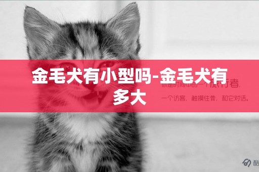 金毛犬有小型嗎-金毛犬有多大