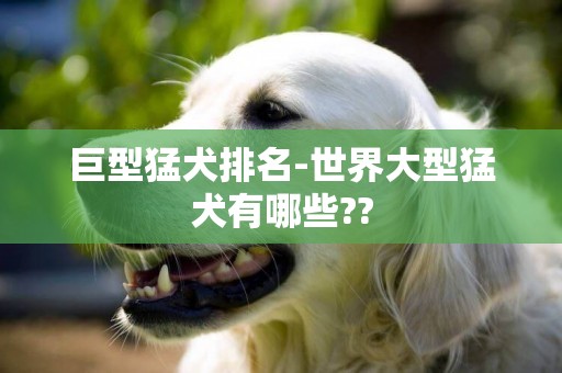 巨型猛犬排名-世界大型猛犬有哪些??