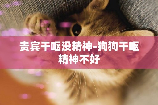 貴賓干嘔沒精神-狗狗干嘔精神不好