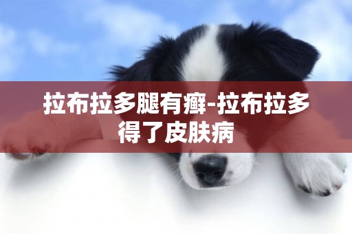 拉布拉多腿有癬-拉布拉多得了皮膚病