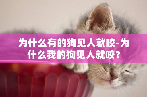 為什么有的狗見人就咬-為什么我的狗見人就咬？