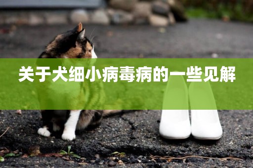 關于犬細小病毒病的一些見解 