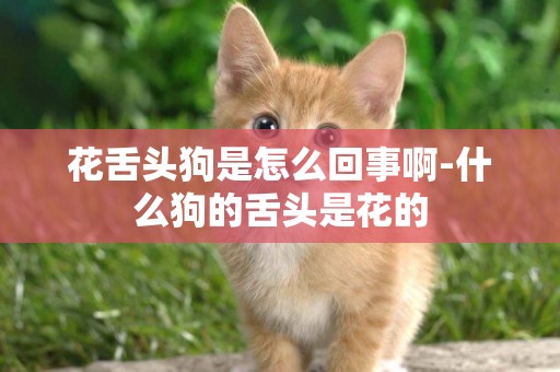 花舌頭狗是怎么回事啊-什么狗的舌頭是花的