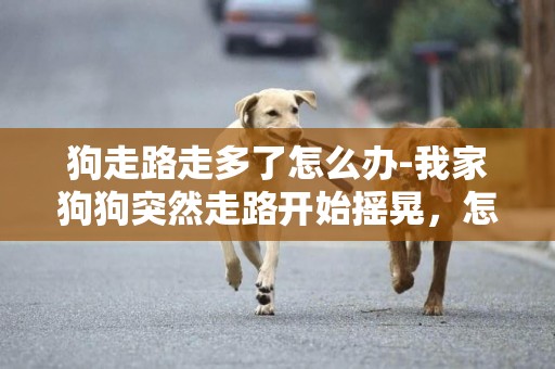 狗走路走多了怎么辦-我家狗狗突然走路開始搖晃，怎么辦