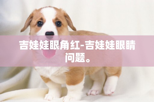 吉娃娃眼角紅-吉娃娃眼睛問題。