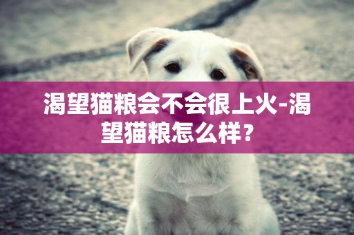 渴望貓糧會不會很上火-渴望貓糧怎么樣？