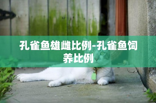 孔雀魚雄雌比例-孔雀魚飼養比例