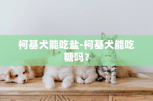 柯基犬能吃鹽-柯基犬能吃糖嗎？