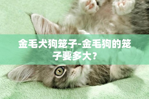 金毛犬狗籠子-金毛狗的籠子要多大？