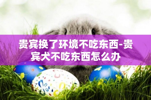 貴賓換了環境不吃東西-貴賓犬不吃東西怎么辦