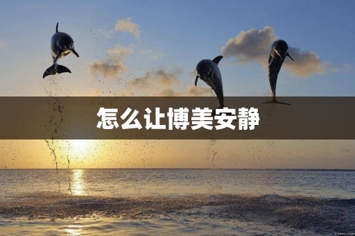 怎么讓博美安靜