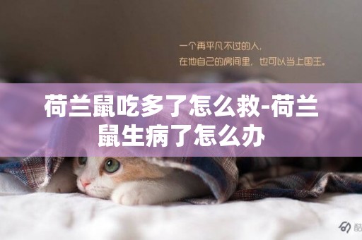 荷蘭鼠吃多了怎么救-荷蘭鼠生病了怎么辦
