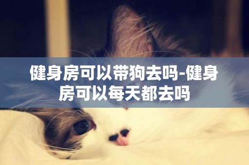 健身房可以帶狗去嗎-健身房可以每天都去嗎