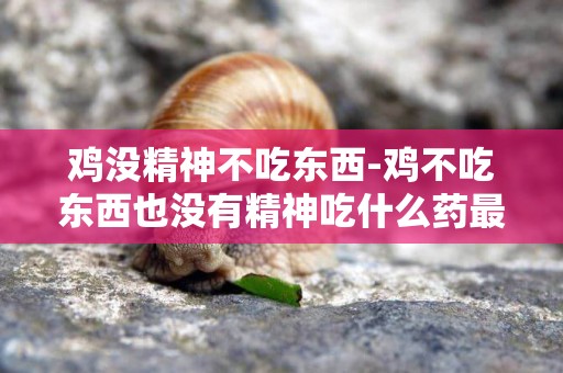 雞沒精神不吃東西-雞不吃東西也沒有精神吃什么藥最好？