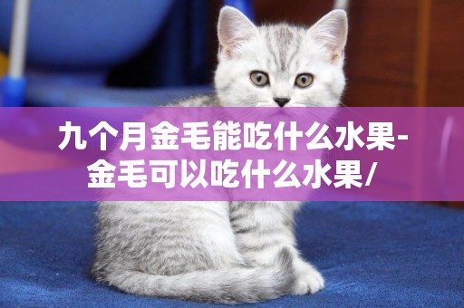 九個月金毛能吃什么水果-金毛可以吃什么水果/