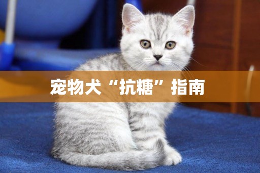 寵物犬“抗糖”指南 