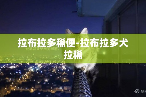 拉布拉多稀便-拉布拉多犬拉稀